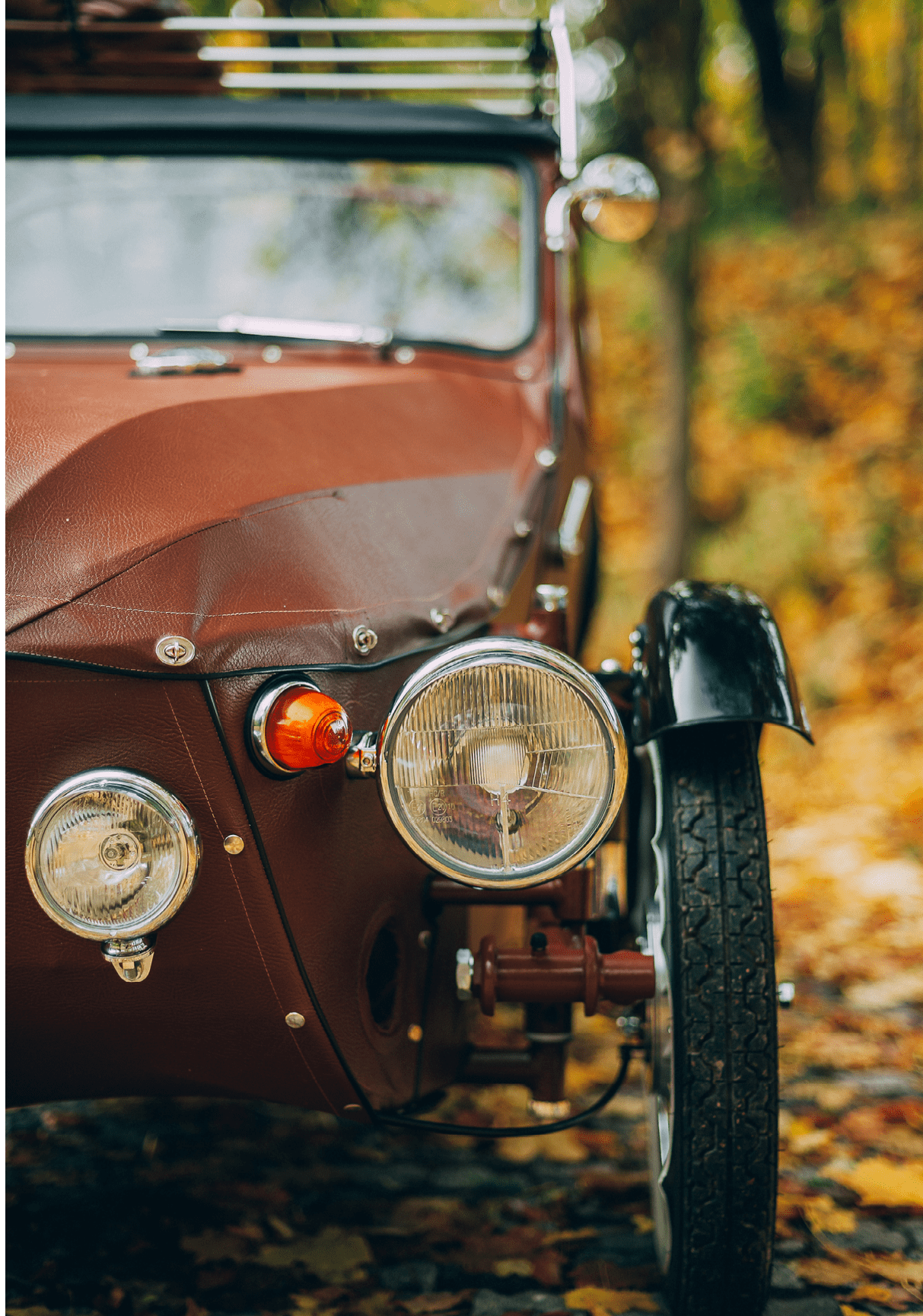 A vertical selective focus shot of a vintage car in an autumn park